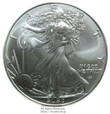 2026年 アメリカイーグル銀貨 1ドル
純銀1オンス
カプセル封入