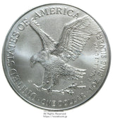 2026年 アメリカイーグル銀貨 1ドル
純銀1オンス
カプセル封入