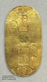 天保小判金 背刻印 仲生 鑑定書付 053