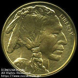 アメリカ 50ドル金貨 バッファロー 2011年 - 野崎コイン