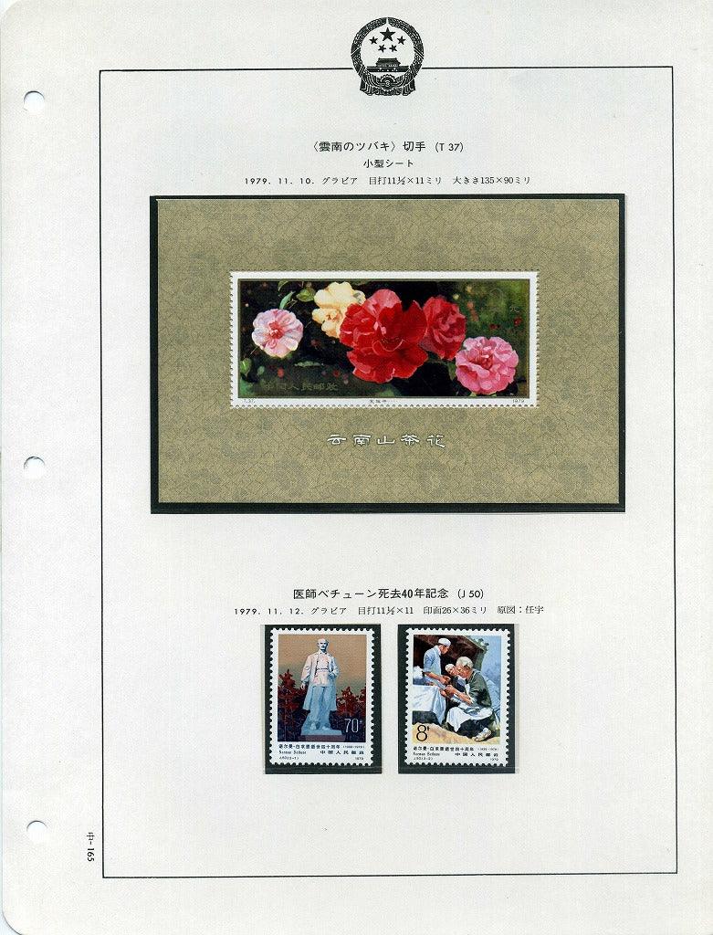 中国 雲南のツバキ – 野崎コイン