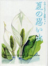 平成25年(2013年) 心のふるさと貨幣セット 夏の思い出 - 野崎コイン