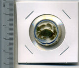 タイ シャム陶貨 蟹 - 野崎コイン