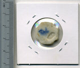 タイ シャム陶貨 利路宏通 - 野崎コイン