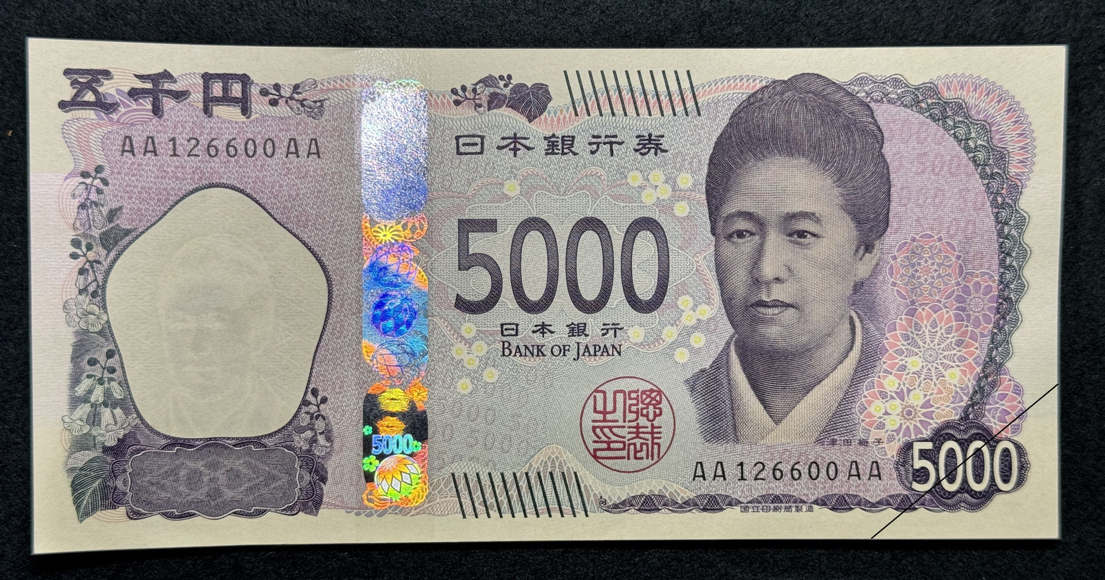 IMG_1436_1600x.jpg?v=1737274778