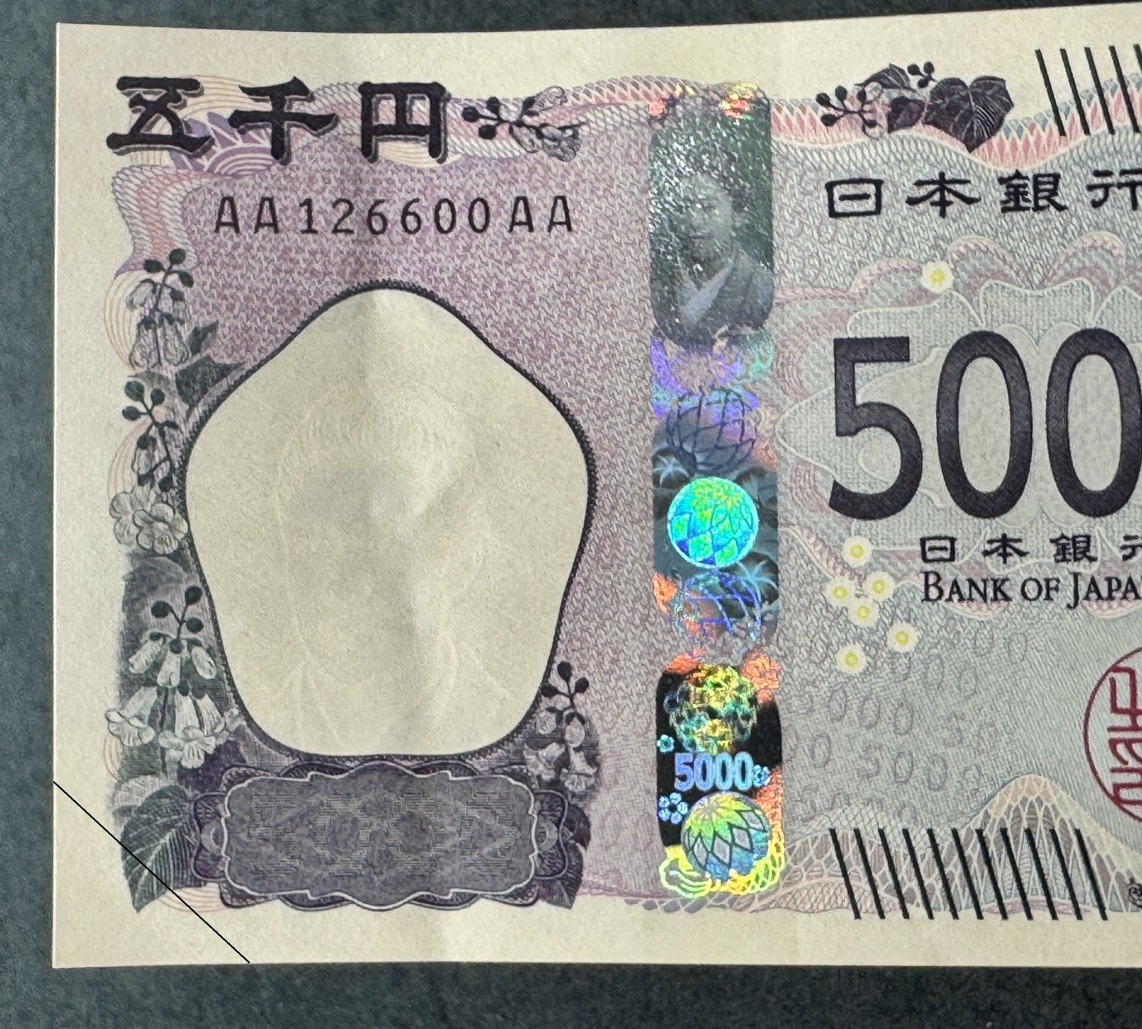 IMG_1437_1600x.jpg?v=1737274787