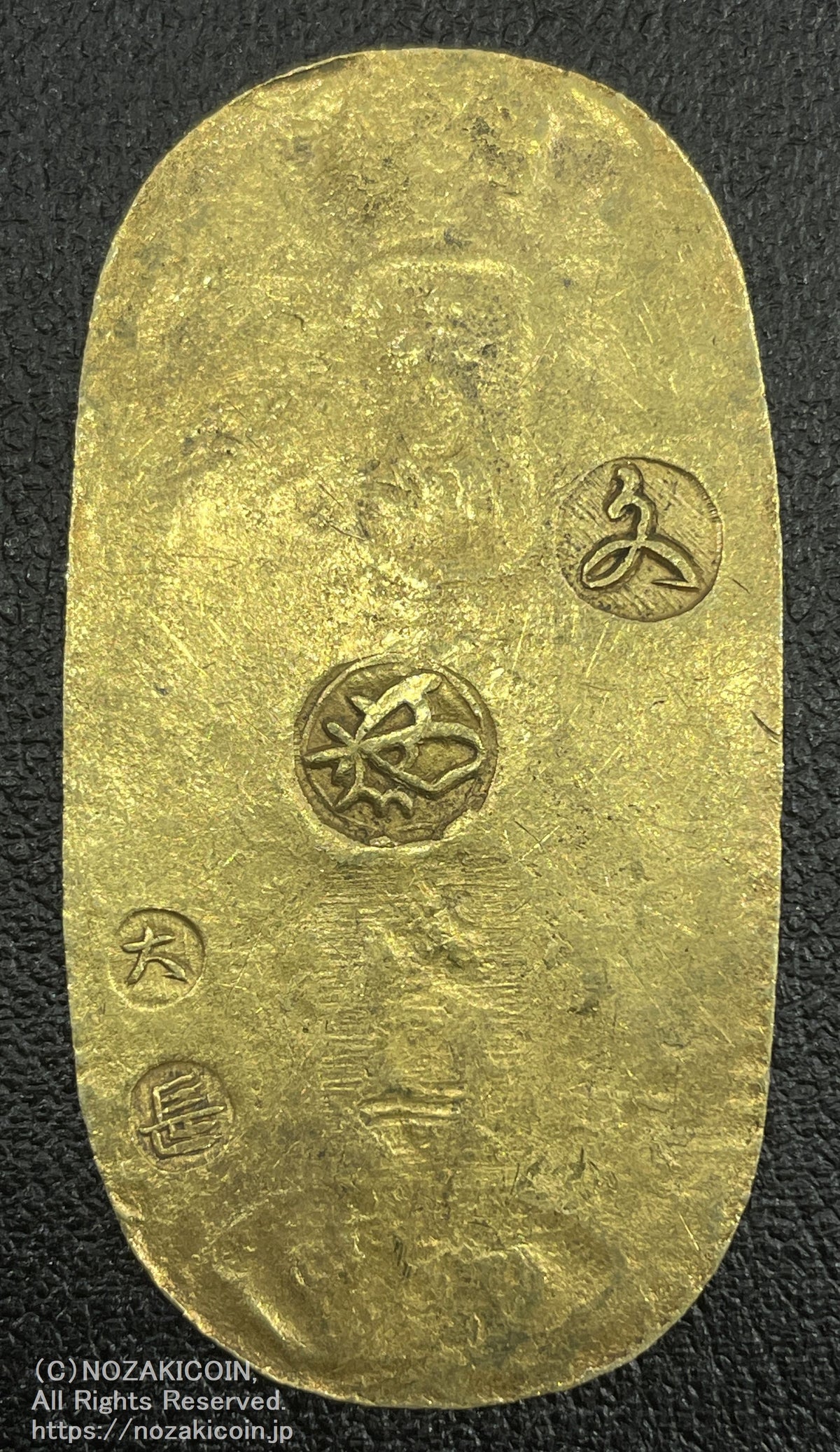 IMG_5611_1200x.jpg?v=1698391804