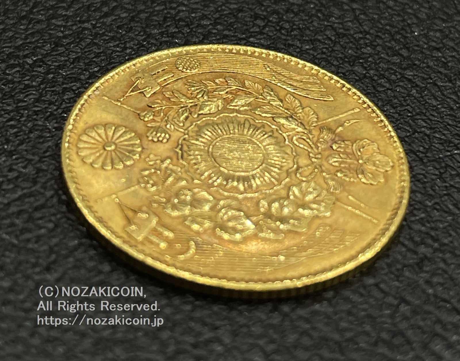 IMG_5813_1600x.jpg?v=1700903518