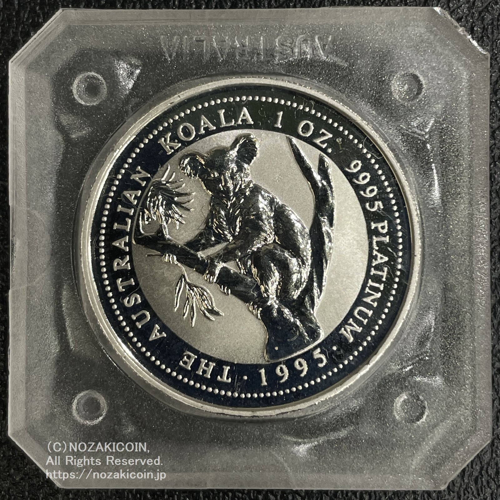 IMG_6071_1600x.jpg?v=1703920211