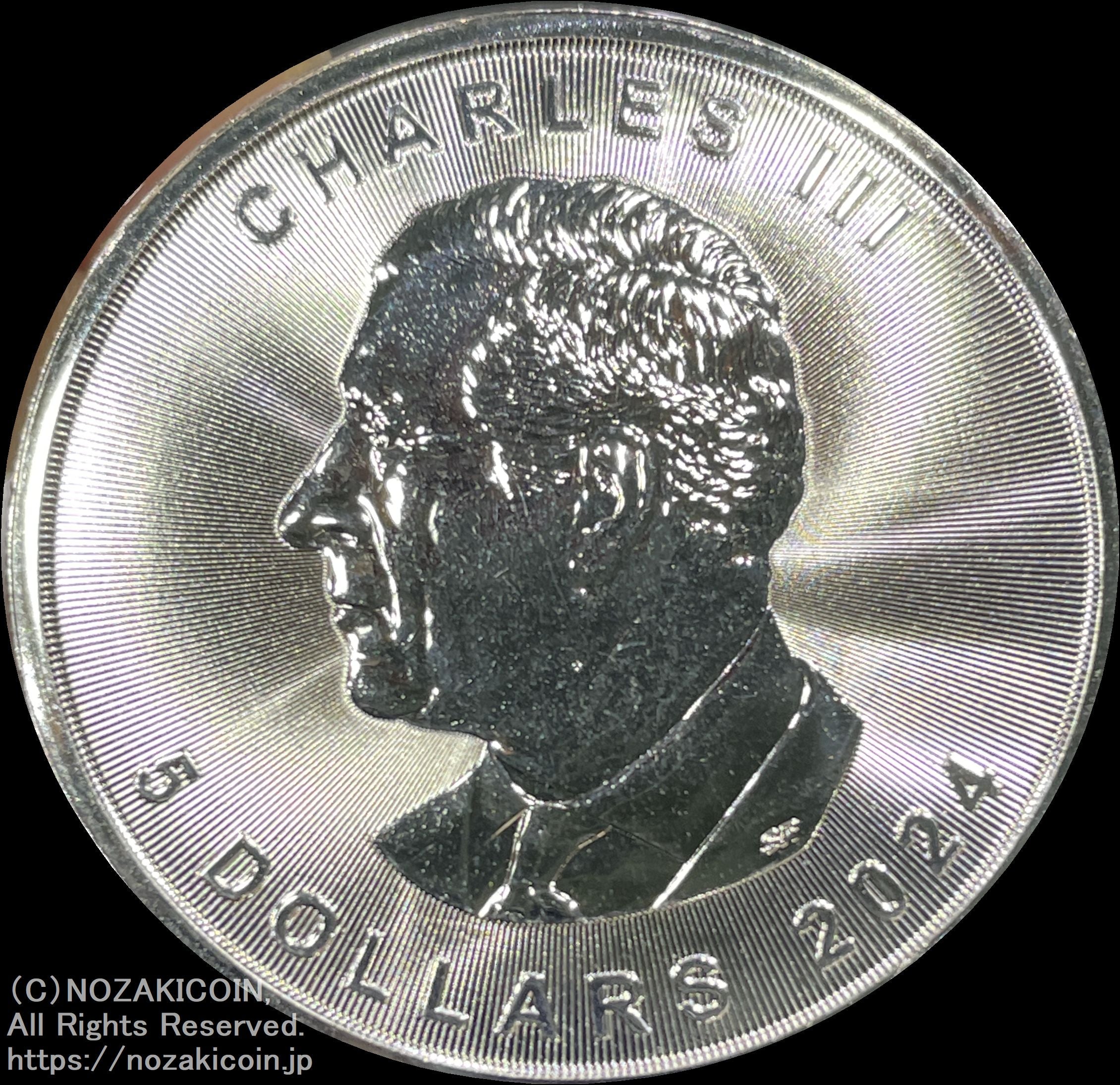 カナダ メイプルリーフ銀貨 2024年 5ドル – 野崎コイン