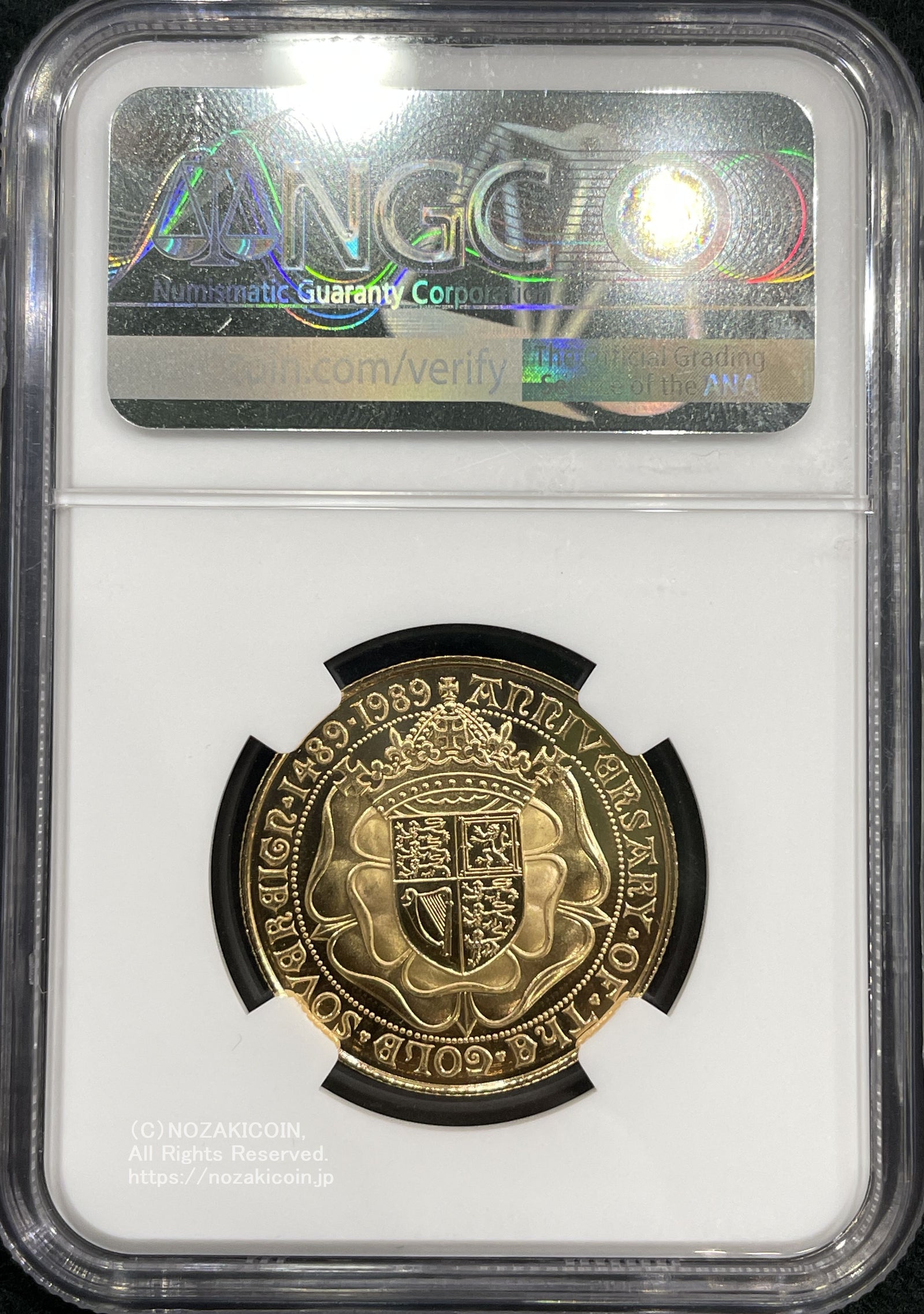 IMG_6493_1600x.jpg?v=1709206444