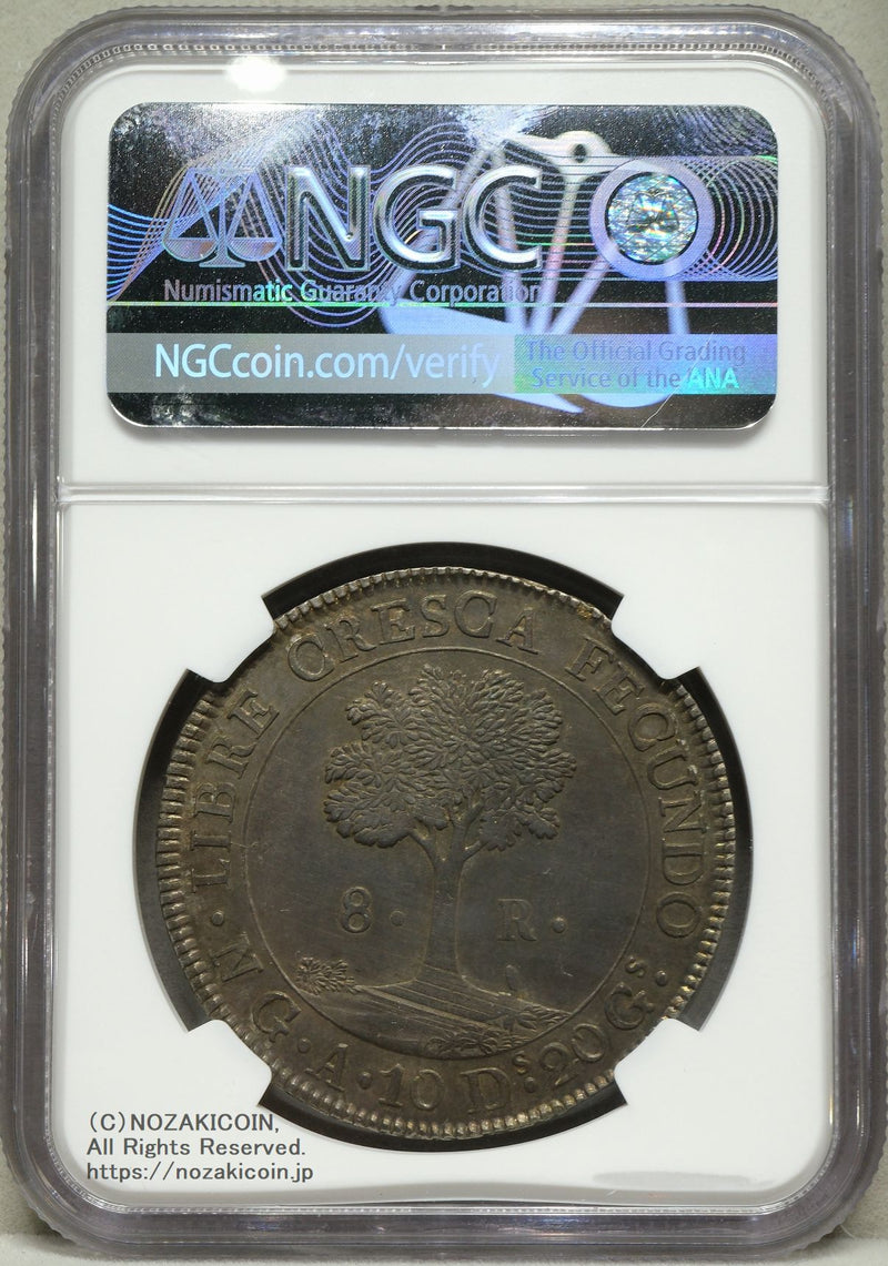 中央アメリカ 8レアル銀貨 1847/6年 NGC MS62 – 野崎コイン