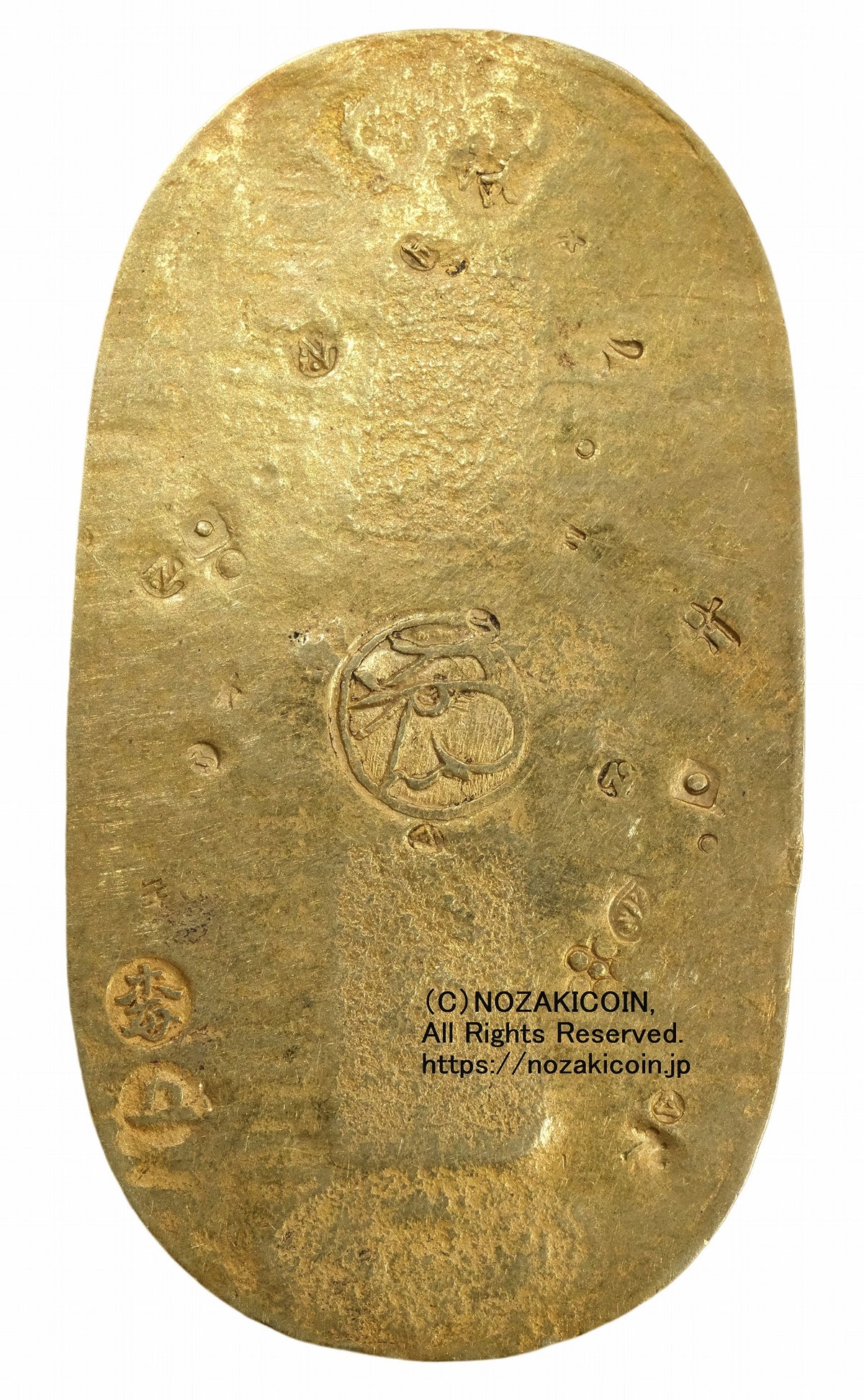 s-DSCF0761_1_1200x.jpg?v=