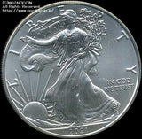 アメリカ イーグル銀貨 2021年 1ドル 20枚入りチューブ - 野崎コイン