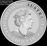 オーストラリア　カンガルー銀貨 2021 1ドル - 野崎コイン