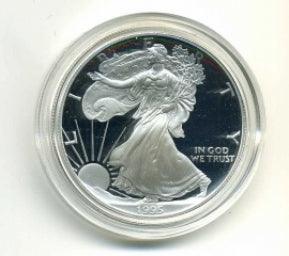 アメリカ　1ドルプルーフ銀貨　イーグル　１９９５P - 野崎コイン
