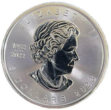 カナダ メイプルリーフ銀貨 2023年 5ドル - 野崎コイン