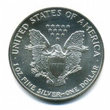 アメリカ　１ドル銀貨　イーグル　１９８９年 - 野崎コイン