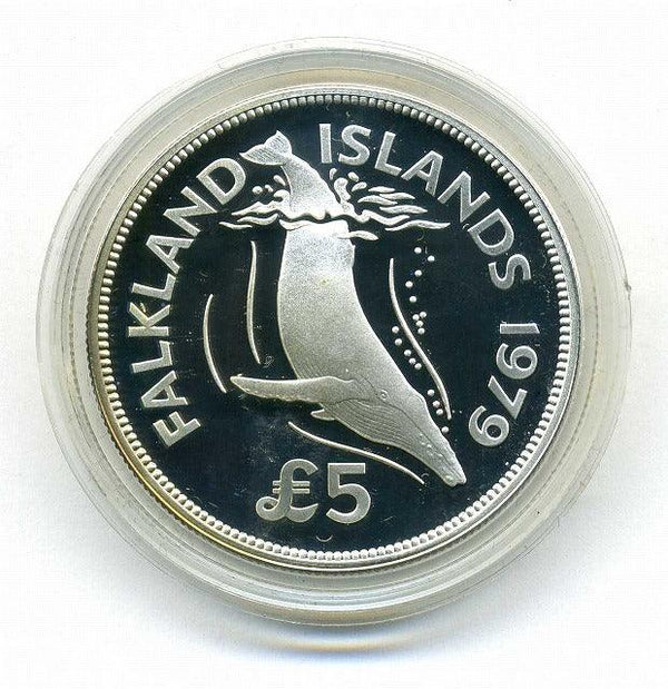 フォークランド諸島　5ポンド　プルーフ銀貨　1979年　ザトウクジラ - 野崎コイン