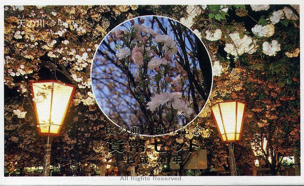 平成4年（1992年）　桜の通り抜け記念　貨幣セット - 野崎コイン