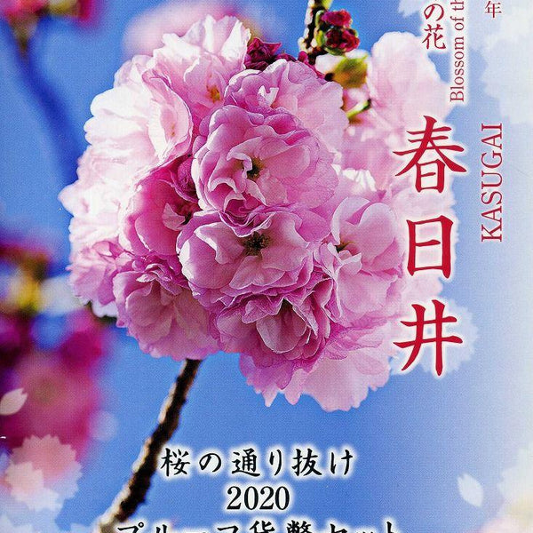 s-imgj623_600x600_crop_center.